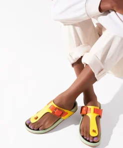Misty In Multi*Charlotte Stone Best